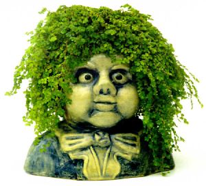 Tichý společník